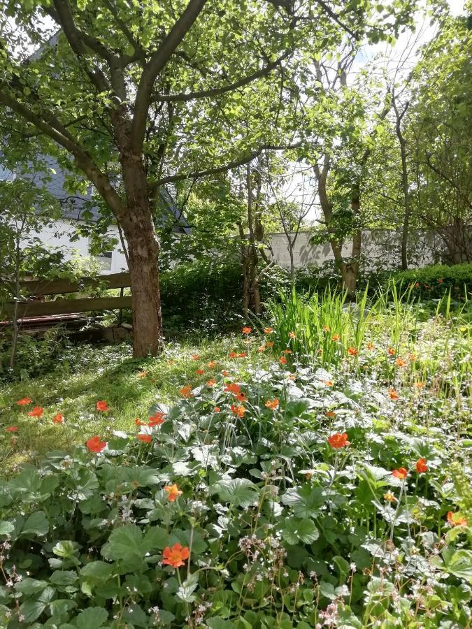 Ferienwohnung Zur Muhle Olsberg Buitenkant foto